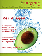 cover_ejournal_bipm_0902_klein.png
