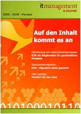 cover_ejournal_dms0908_klein.png