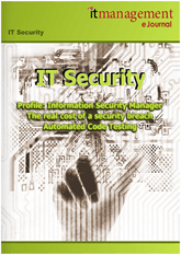 it management eJournals