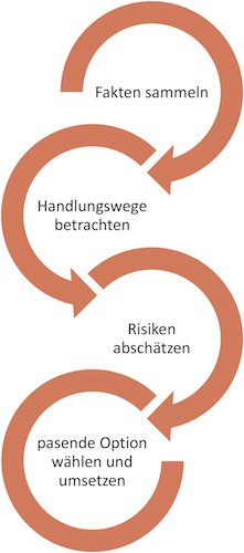 Vorgehensweise nach dem FORDEC-Modell