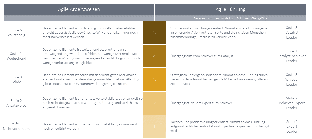 Agile Arbeitsweisen Faehigkeitsgradbewertung Bild1