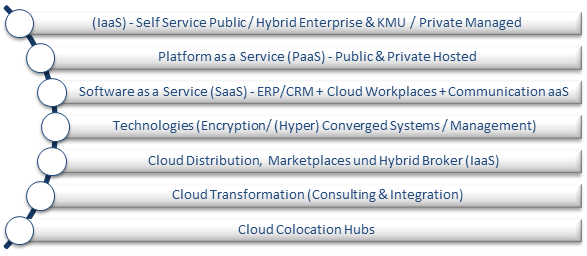 Cloud Vendor Benchmark 2015 Segmente