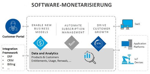 Software-Monetarisierung