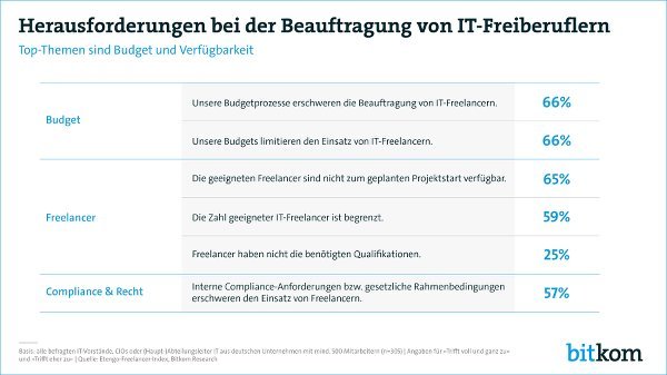 Bitkom IT Freelancer