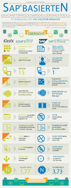 Infografik iGrafxSAP final 300