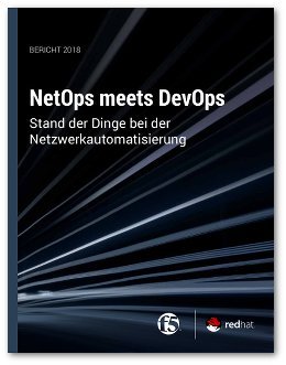 Whitepaper NetOps meets DevOps