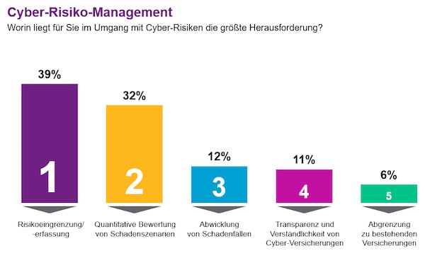 Cyber-Risiko-Management