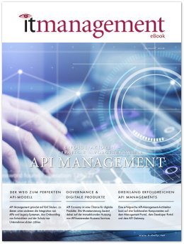 Titel API-Managment
