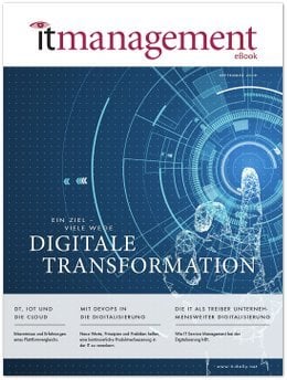 eBook Digitale Transformation