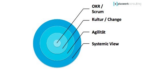 System View