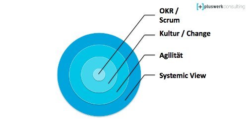 System View