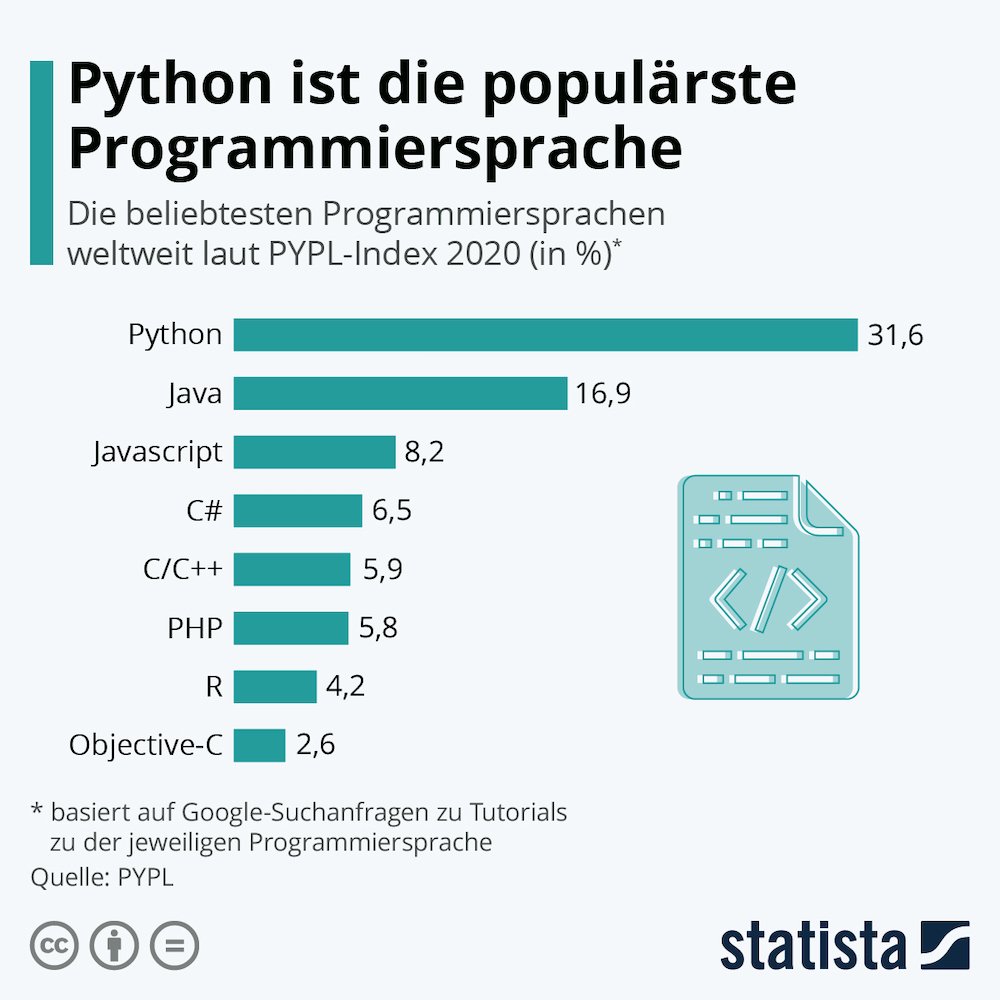 Statista Programmiersprache