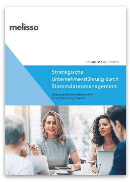 WP Strategische Unternehmensfuhrung Melissa