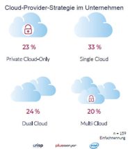 Cloud-Strategie-Provider im Unternehmen (Grafik: Crisp, Plusserver, Intel)