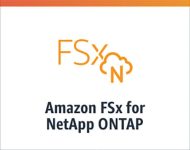 Neu auf AWS: Amazon FSx für Netapp Ontap (Bild: AWS)