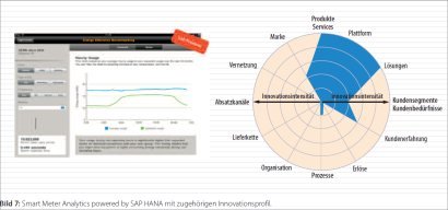 Bild 7: Smart Meter Analytics powered by SAP HANA mit zugehörigen Innovationsprofil.