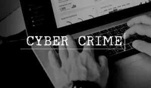 Cyber Crime, Bildungssektor