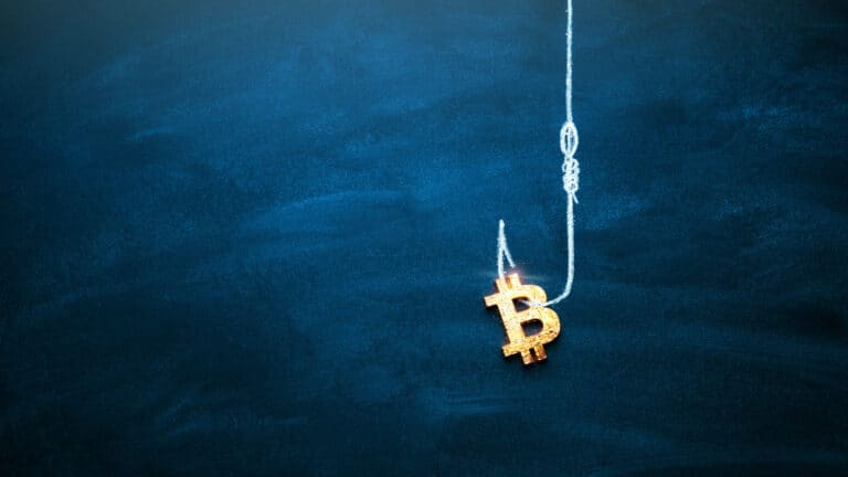 Blockchain.com, Luno und Cardano sind die am häufigsten gephishten Krypto-Projekte 1 Bitcoin Phishing
