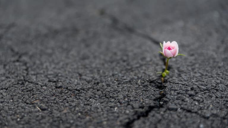 Resilienz