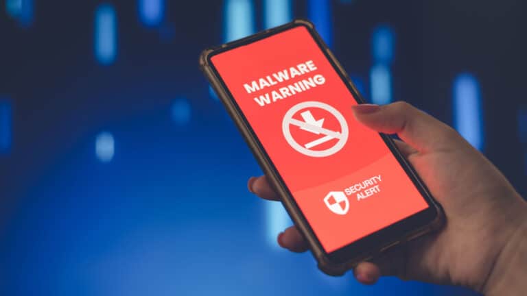 Malware, Fleckpe, Trojaner
