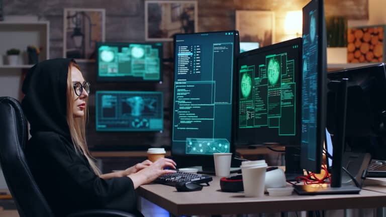 White Hat, ethische Hacker