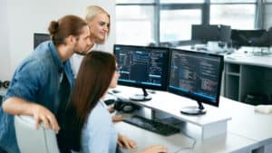 Programmierer, Entwickler