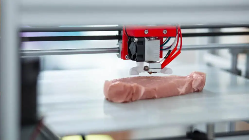 3D-Drucker Fleisch