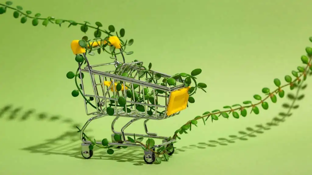Nachhaltig Einkaufen