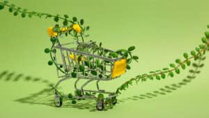 Nachhaltig Einkaufen