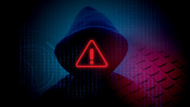 Hacker, Schadsoftware