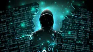 Hacker, Security, ERP