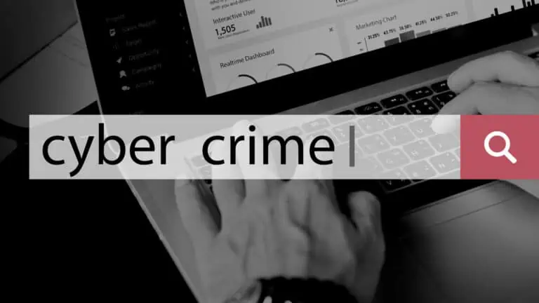 Cyberkriminalität, Crime