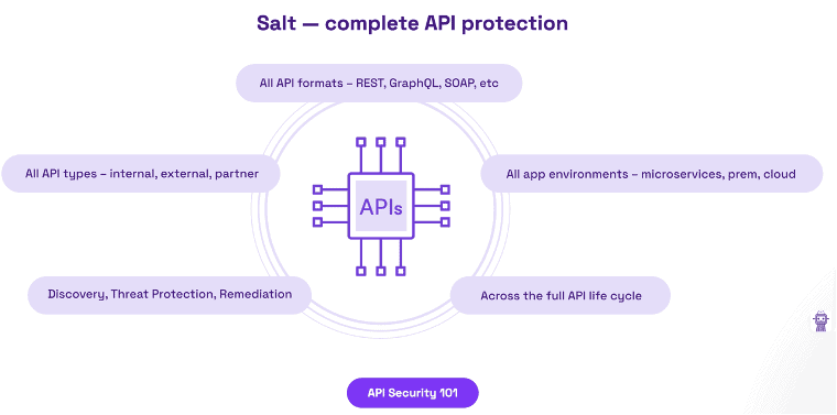 API-Sicherheit neu definiert 2 Salt - complete API protection