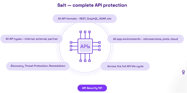 Salt - complete API protection