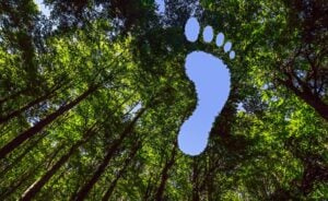 Laubwald mit Lücke zum Himmel in Gestalt eines CO2-Fussabdrucks