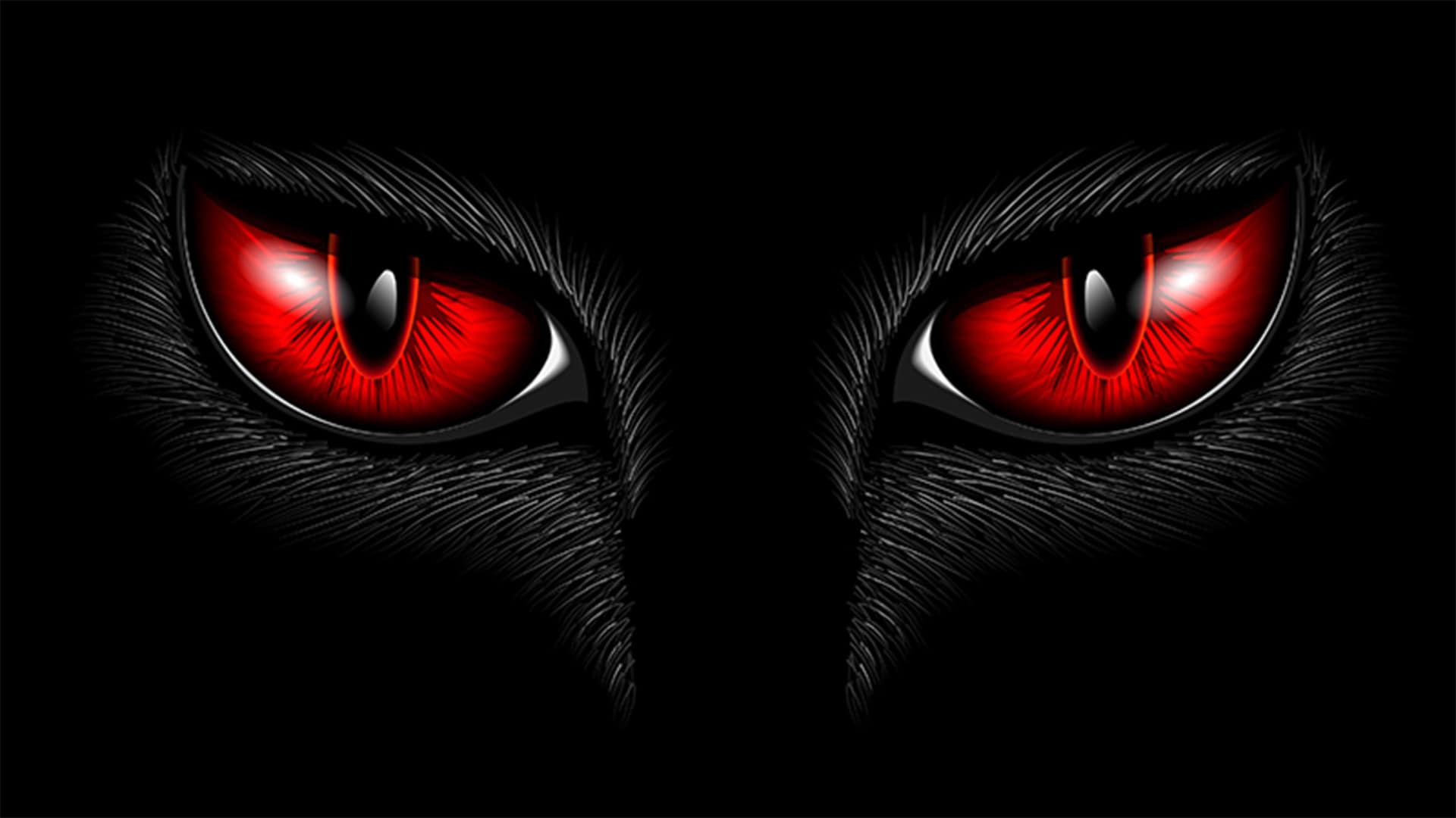 Erfolgreicher Einsatz gegen Schadsoftware Blackcat 1 BlackCat