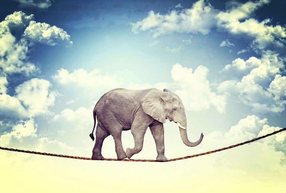 Balance finden: Elefant geht über Seil, Mental Health