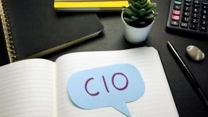 Chief Information Officers, CIOs, Krise