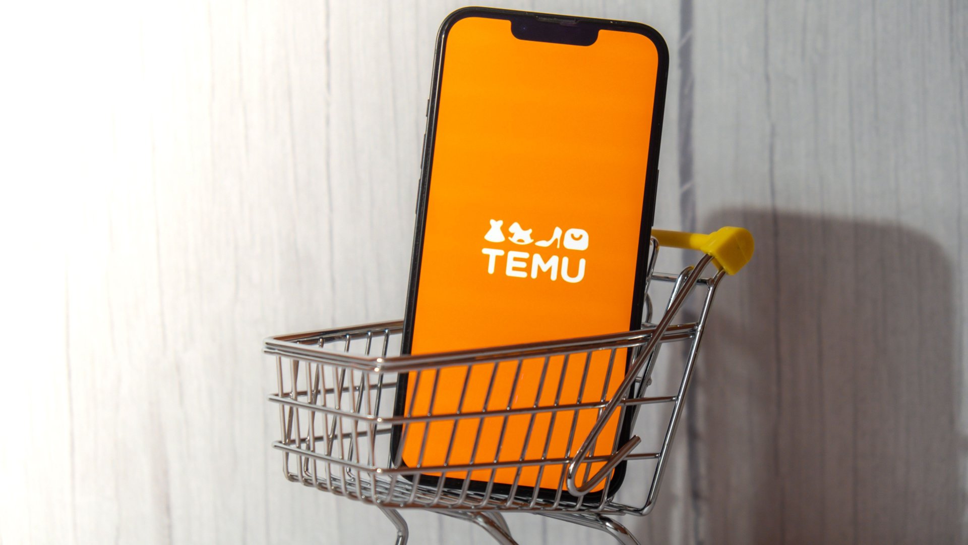 Temu online shop zu billig um wahr zu sein 