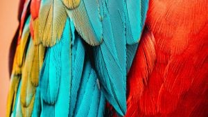 Retrieval-Augmented Generation, RAG