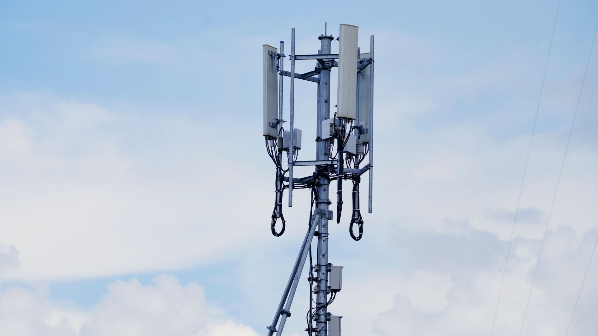 O2 will mehr Mobilfunk-Masten in Naturschutzgebieten bauen