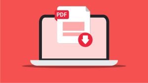 PDF