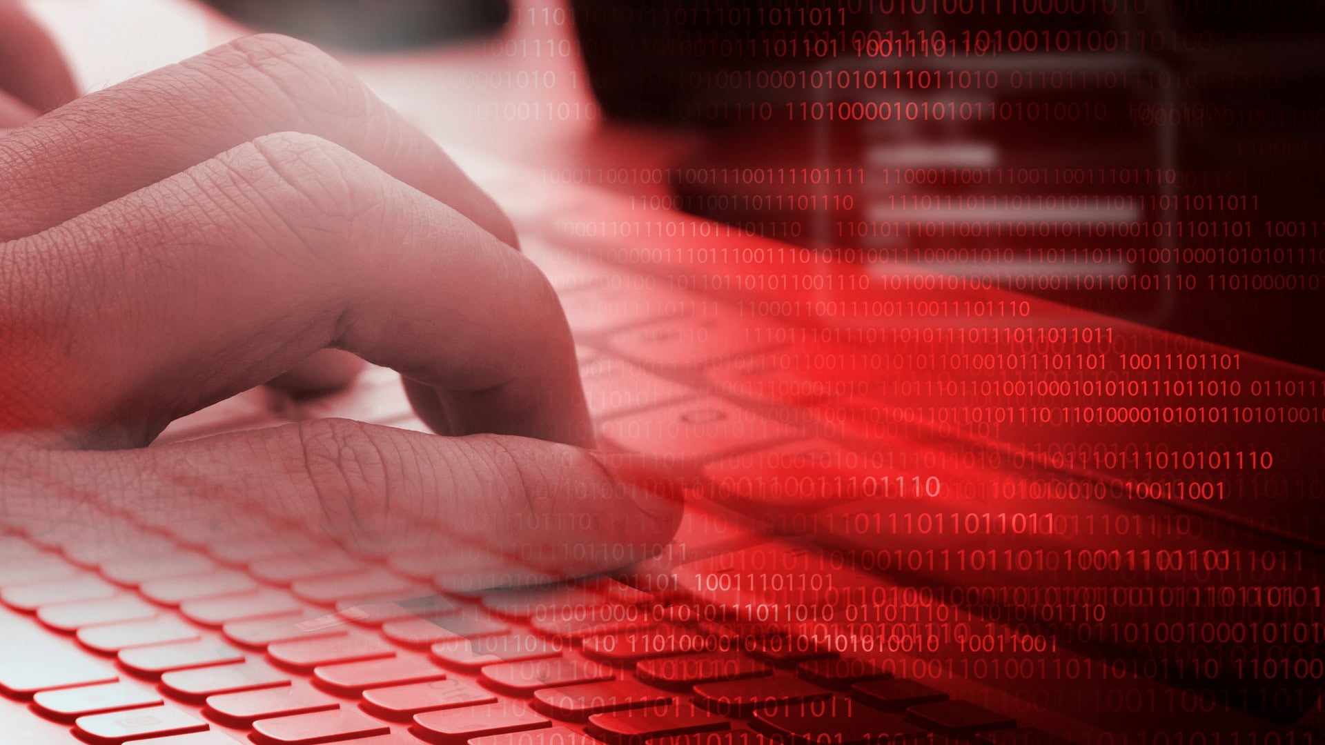 Kriminelle verkaufen Daten von 4,9 Millionen Wise-Kunden 1 Hacker