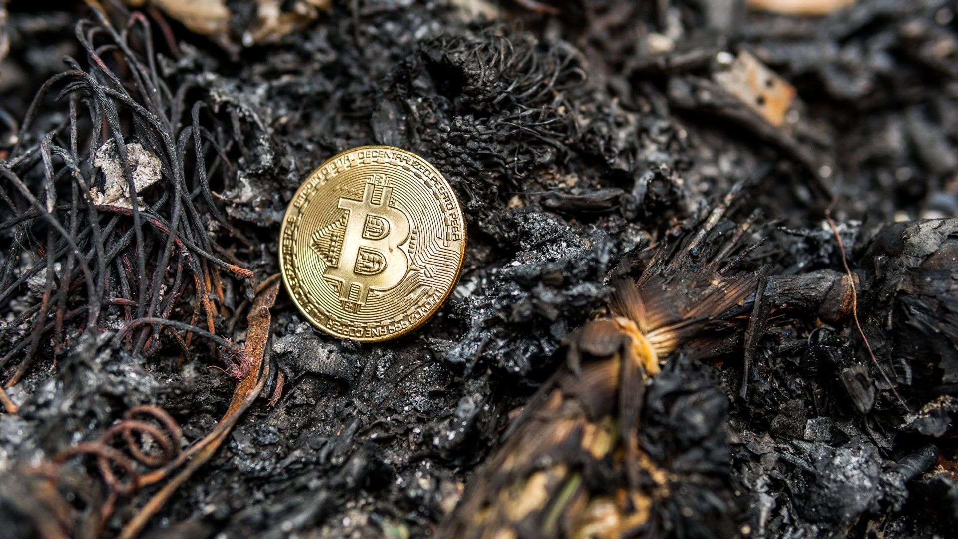 Liegt ein Bitcoin-Schatz im Müll? Richter weist Klage ab