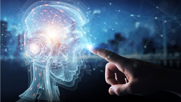 Mit Bionic Reasoning zur europäischen KI-Autonomie 1 Bionic Reasoning