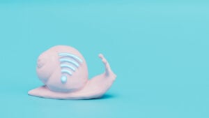 Schnecke, Internet, Breitband