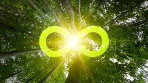 Nachhaltigkeit, asset lifecycle management nachhaltig, ALM, Asset Lifecycle Management, Kreislaufwirtschaft