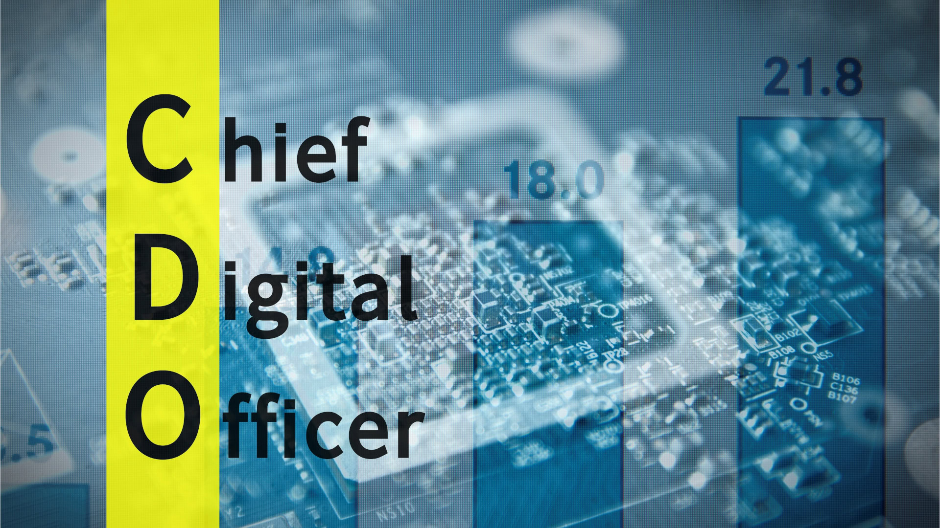 Was ist ein Chief Digital Officer (CDO)? 1 Chief Digital Officer (CDO)