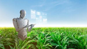 Ki-Landwirtschaft