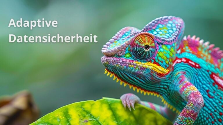 Chamäleon - adaptive Datensicherheit